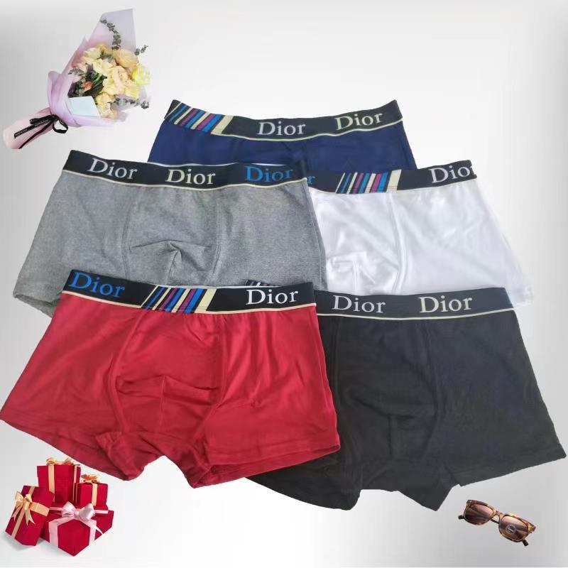 Dior Panties